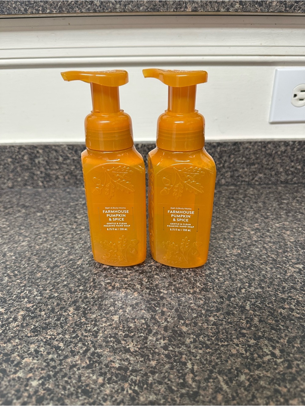 Bath and Body Works Foaming Hand Soap Farmhouse Pumpkin & Spice